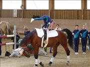 voltitag 2009 _CD1 122